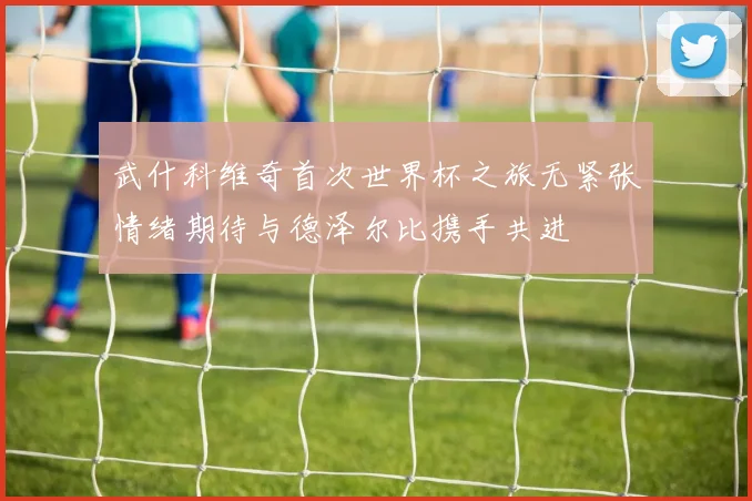 武什科维奇首次世界杯之旅无紧张情绪期待与德泽尔比携手共进